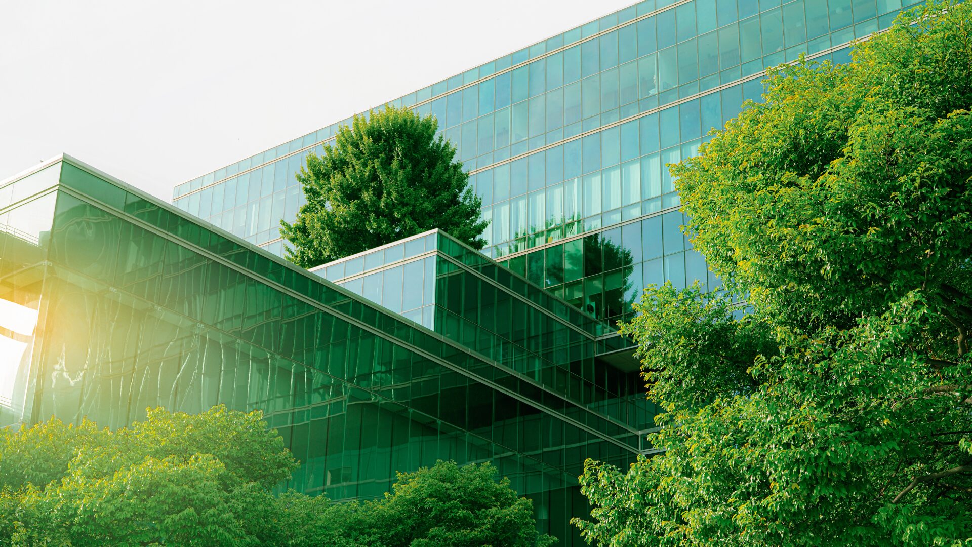 ADA Cosmetics international headquarters building with green glass facade.